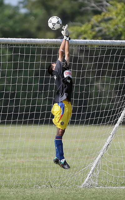 未来选择充 未来选择充