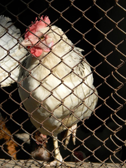 难的时期 难的时期