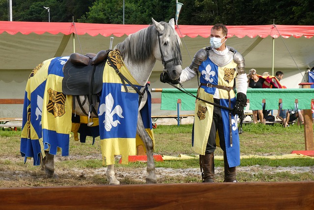 一年一度的 一年一度的